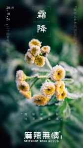 霜降（图）